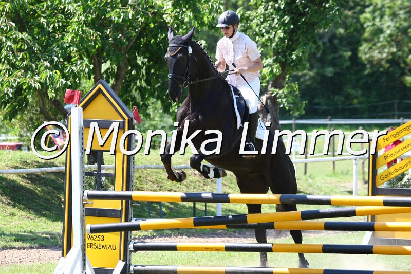 105M9928_Earls Ebony_Spingpf_A.JPG